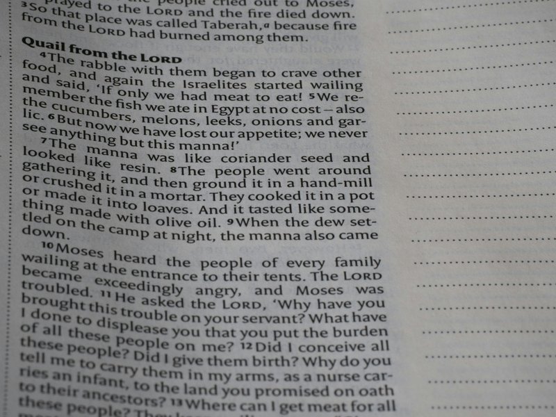 This '129 Ways to Get a Husband' Article From 1958 Shows How Much the World Has Changed
